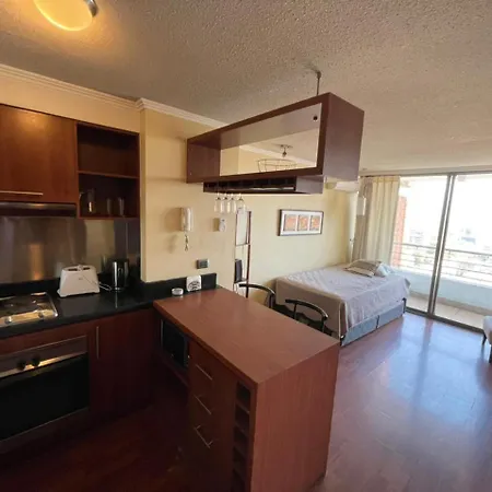 Depto Comodo En Providencia 17 Apartment